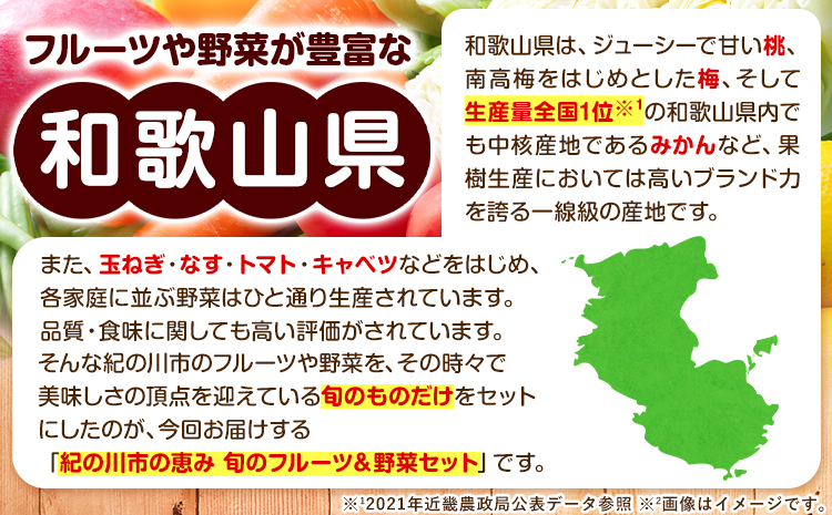 【3ヶ月定期便】紀の川市の恵み 旬のフルーツ＆野菜セット 計8~10品《お申込み月翌月から出荷開始》和歌山県 紀の川市 フルーツ 果物 野菜 セット 桃 梅 みかん 新玉ねぎ なす トマト キャベツぶ