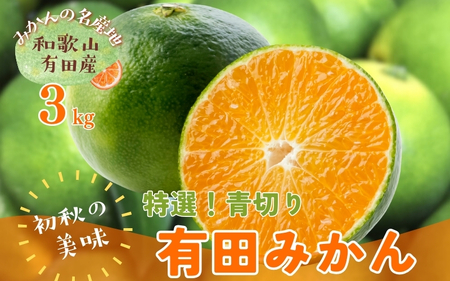 【先行予約】【2026年9月中旬～10月上旬頃に順次発送予定】特撰　青切り有田みかん　3kg+200g(傷み補償分)　※北海道・沖縄・離島配送不可 / 和歌山 ミカン オレンジ 柑橘 フルーツ 果物 くだもの 旬【ard043C】