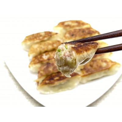ふるさと納税 加須市 町中華のひとくち野菜餃子　100個