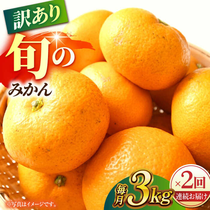 【ふるさと納税】【先行予約】【数量限定】【2回定期便】【訳あり】家庭用 みかん 約3kg 詰め合わせ 柑橘【合同会社 社方園】[ZBZ033]