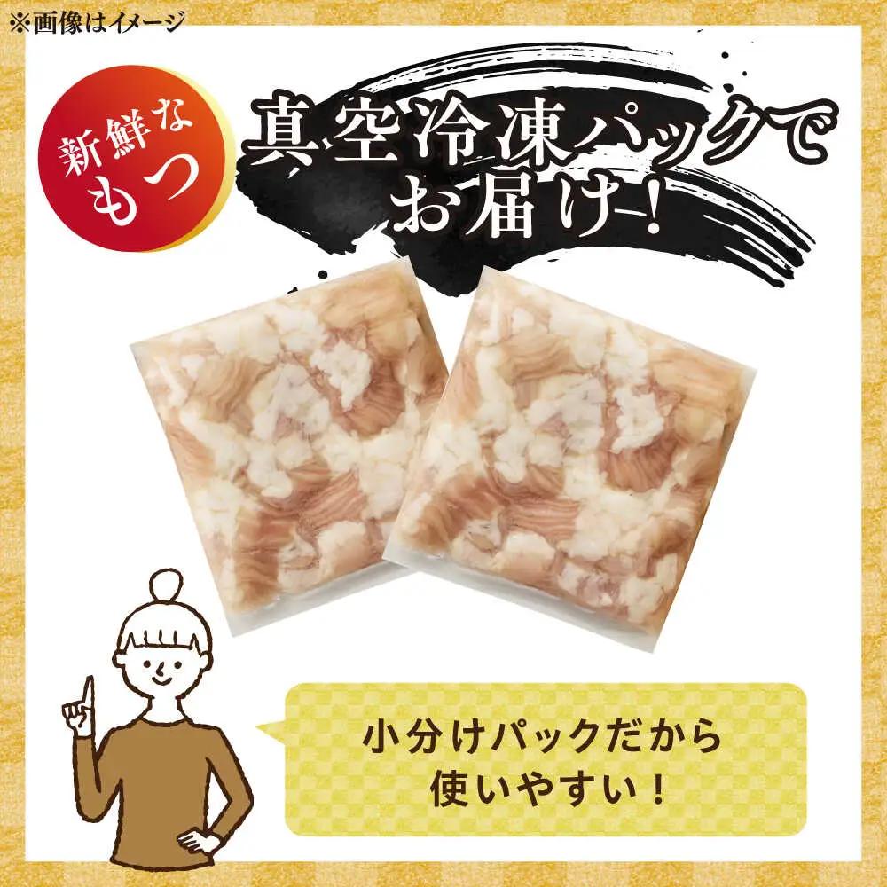 【訳あり】博多醤油もつ鍋 10人前[BGAB003] 訳あり