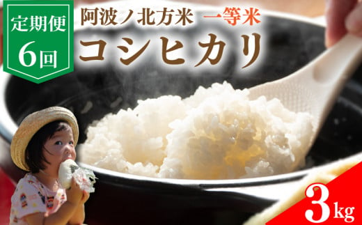 【 定期便 3kg × 6回 】 コシヒカリ 令和6年産 阿波ノ北方米 毎月 1回 1等 米 こめ ご飯 ごはん おにぎり 白米 精米 新米 卵かけご飯 食品 備蓄 備蓄米 保存 防災 ギフト 贈答 プレゼント お取り寄せ グルメ 送料無料 徳島県 阿波市 阿波ノ北方農園