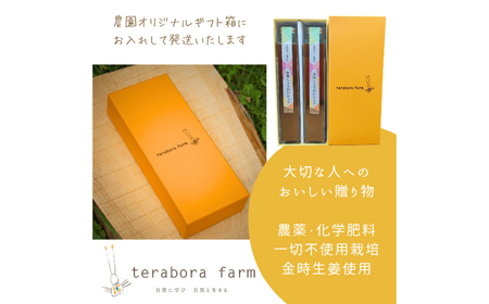こだわり金時しょうがシロップ 200ml×2本 ギフトセット / 恵那市 / てらぼら農園 [AUDZ001]