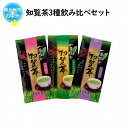 【ふるさと納税】【お中元に】【五反田製茶】 知覧茶 煎茶 緑茶 100g×3本 3種飲み比べセット ギフト包装 のし対応 指定日OK 高品質 上級煎茶 さっぱり 新鮮 お取り寄せ 南九州市産 お茶 日本茶 鹿児島県 南九州市 送料無料