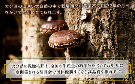 乾燥椎茸 訳あり 椎茸100g×3パック 乾しいたけ | 津久見市