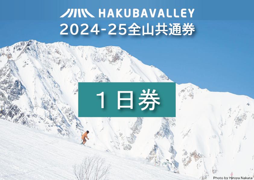 HAKUBA VALLEY 10スキー場共通1日券（2枚）