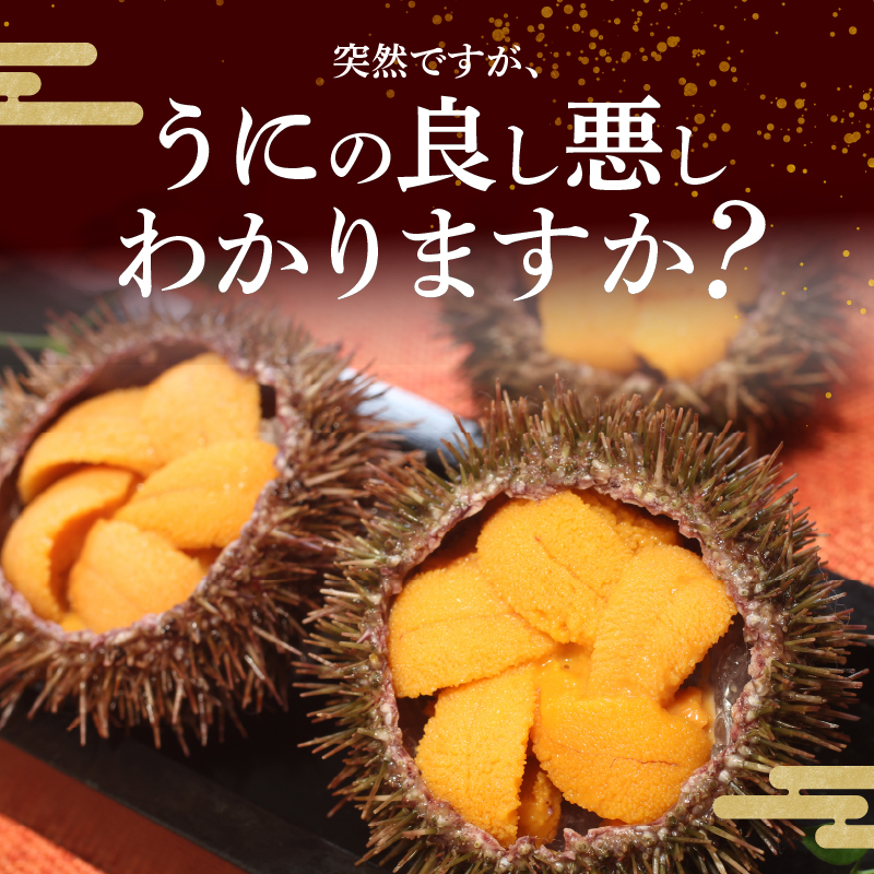 ≪プロ厳選≫最高級折うに(極)計600g うに ウニ 雲丹 折うに 海鮮 海産物 北海道 浜中町 ふるさと納税 人気_H0014-003