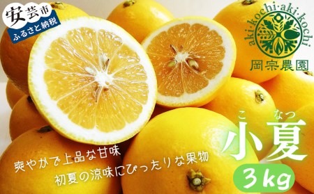 【2027年出荷分】小夏 (日向夏)  小夏 3kg 