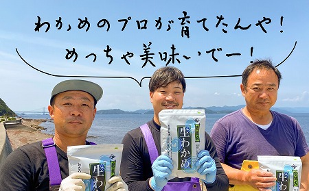 【漁師直送】湯通し塩蔵わかめ300ｇ×5袋【淡路島鳴門海峡原産】