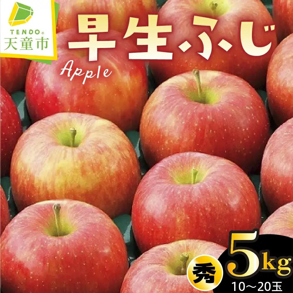りんご ( 早生ふじ ) 5kg フルーツ 果物 山形