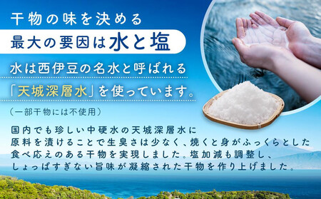 〈父の日ギフト〉干物カフェ　ヨリドコロ 絶品干物セット  ～Sunset～