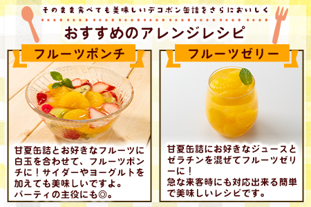 甘夏缶詰24缶入り (12缶×2箱)《60日以内に順次出荷(土日祝除く)》熊本県 葦北郡 津奈木町 あしきた農業協同組合 JAあしきた 柑橘 甘夏 あまなつ フルーツ 果物 缶詰 送料無料