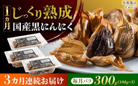 【3回定期便】 国産熟成 黒にんにく 300g (100g×3) バラ 瑞浪市 / 国産ムラセの熟成黒にんにく 青森県産 ニンニク[AZCO016]