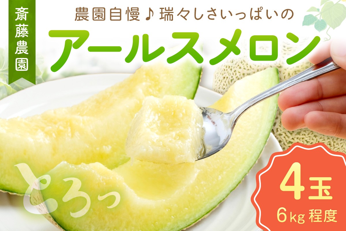
            斎藤農園のアールスメロン(マスクメロン)4玉 6kg程度≪先行予約2026年6月下旬以降発送分≫
          