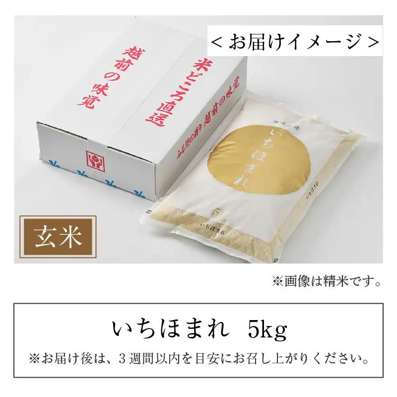 【令和7年産】いちほまれ 玄米 5kg×1袋《新鮮な高品質米をお届け！》／ 福井県産 ブランド米 ご飯 [aw064-a019]
