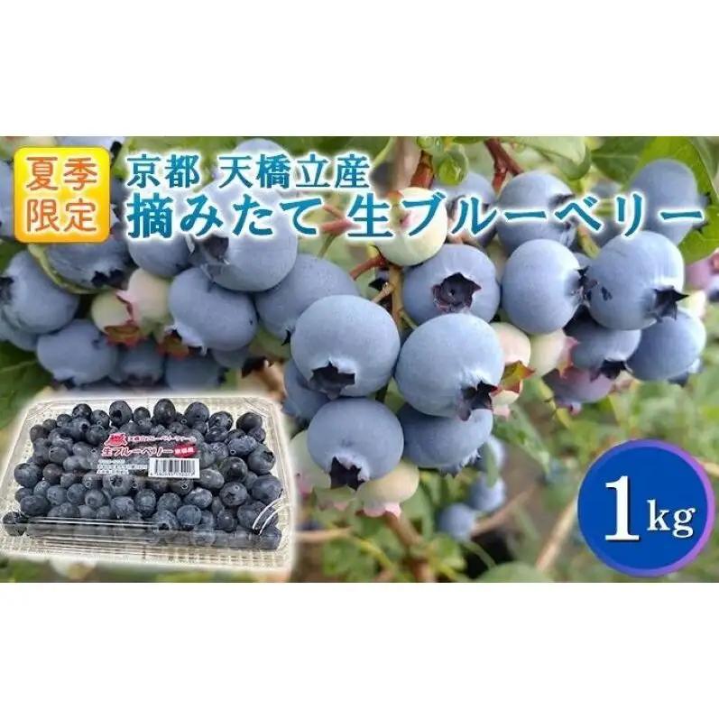 【お届け：2026年8月中旬まで】8年夏季予約販売 1kg 摘みたて 生ブルーベリー 8年夏季予約販売