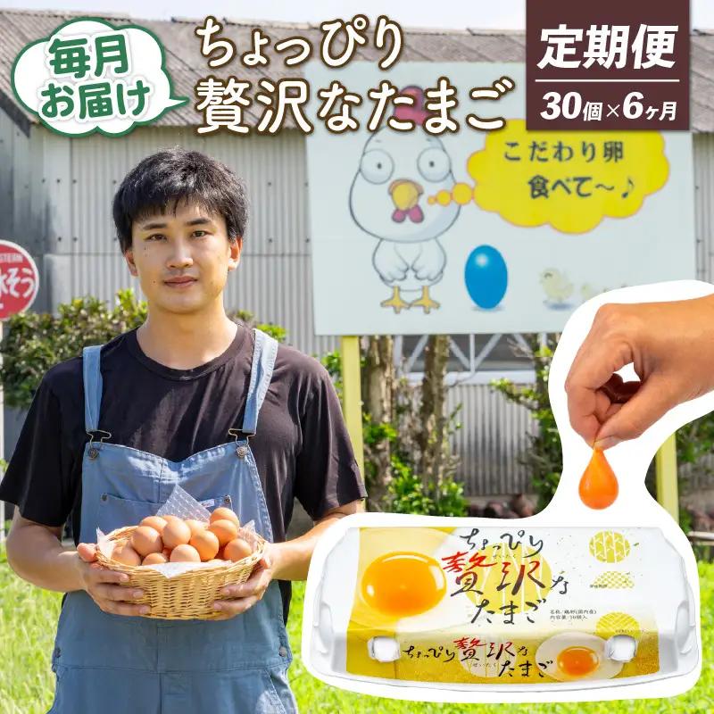 【定期便6回】こだわり たまご 30個 (10個×3パック) 新鮮 平飼い 卵 ﾀﾏｺﾞ