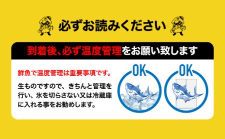 《津本式》へべすぶり 2尾 ～津本光弘本人仕立て～