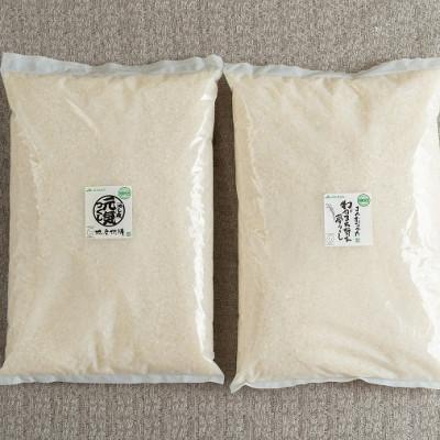 ふるさと納税 筑紫野市 ふくおか産「夢つくし2.5kg」「元気つくし2.5kg」の食べ比べ(筑紫野市)