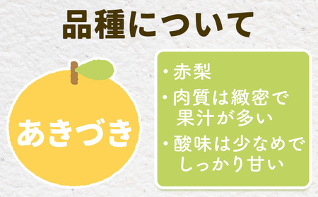 【2026年先行予約】とっくんちの梨 あきづき 約3kg 鈴木農園《8月下旬-9月中旬頃出荷》茨城県 結城市 数量限定 果物 フルーツ 甘み ジューシー 豊か 芳香 しゃりっ 爽やかな 季節【配送不可