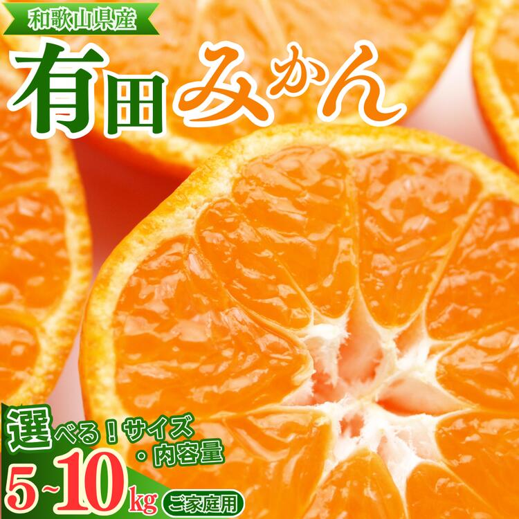 【ふるさと納税】【ご家庭用】 有田みかん 選べる サイズ 内容量 〇 │ みかん フルーツ 果物 柑橘 ※北海道・沖縄・離島への配送不可 ※2025年11月上旬～2026年1月下旬頃に順次発送予定