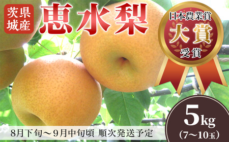 【全国梨選手権 最高金賞受賞】茨城県産「恵水」梨5kg【2025年8月下旬～9月中旬にかけて発送予定】【 梨 なし ナシ 茨城県梨 下妻梨 人気梨 果物梨 フルーツ梨 果物 フルーツ 】