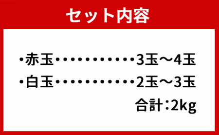 【2026年発送分】徳之島 天城町産 ドラゴンフルーツ 赤白混合 約2kg 家庭用 トロピカルフルーツ フルーツ 果物 果実 ピタヤ