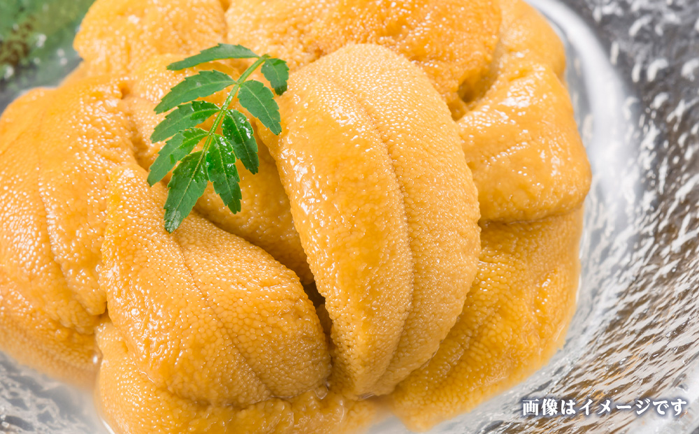 2026年発送 先行受付 ウニ本来の味が楽しめる【白老産】塩水ムラサキウニ 100g×2パック BT008