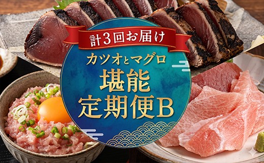 
                  【 定期便 3回 】マグロ と カツオ の 堪能定期便 B | 海鮮 鮪 鰹 ネギトロ 刺身 海産物 魚介類 鮪 まぐろたたき 魚 海鮮 冷凍 タカシン 定期便 海鮮定期便 人気定期便 ランキング お楽しみ ふるさと納税 定期便 美味しい 惣菜 お取り寄せ おさしみ 天然本マグロ 藁焼きかつおのたたき 本場 3万円 30000円 以下 海鮮 定期便 海鮮 定期便 魚貝定期便 頒布会 高知県 室戸市
                