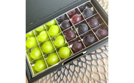 No.296 【先行予約】粒々ぶどう18粒　シャインマスカットとぶどう1品種【茨城県共通返礼品 かすみがうら市】