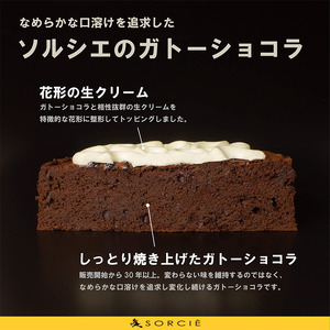【着日指定可】ガトーショコラ クラシック 6号 【直径17cm：6～8人分】 | デザート ケーキ 着日指定 誕生日 ガトーショコラ ガトーショコラ ガトーショコラ ガトーショコラガトーショコラ ガト