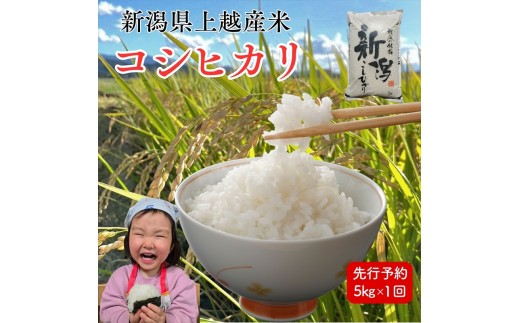 
                  令和8年産 先行予約 新潟県上越市産 コシヒカリ 5kg 5キロ 新米 精米 米 新潟県産 こしひかり 限定 おすすめ 米ヴィレッジさんわ
                