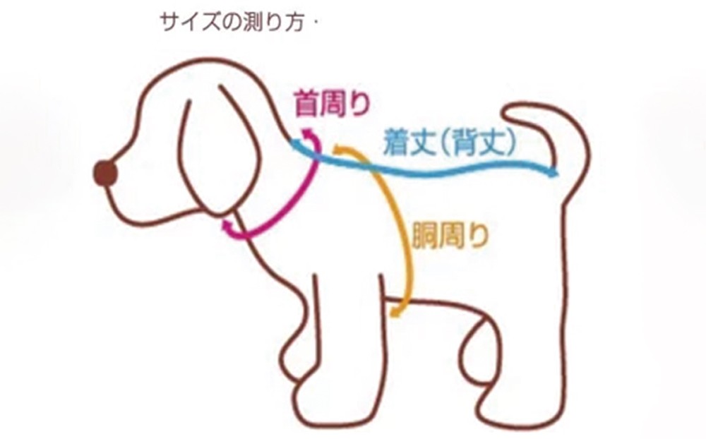 画像を参考にわんちゃんたちのサイズを測ってください