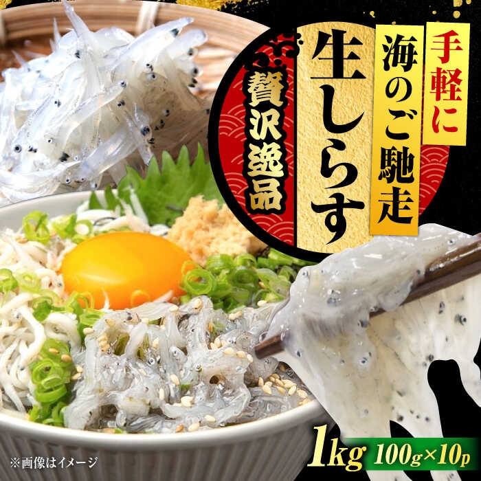 【ふるさと納税】鮮度抜群 生しらす 100g×10個 しらす 冷凍 シラス 小分け 干し 釜揚げ 冷凍 シラス 小分け パック 干し 魚介類 鮮魚 海鮮 海産物 セット 詰め合わせ ギフト 広島県産 人気 送料無料 江田島市/三島水産株式会社[XCN006]