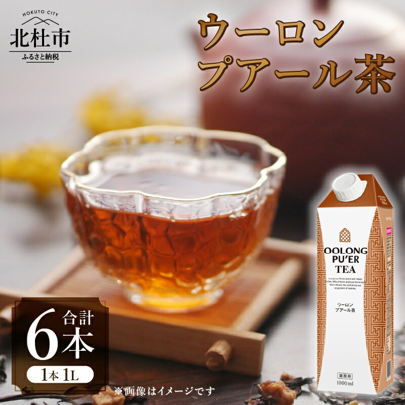 【ふるさと納税】 烏龍茶 プアール茶 ブレンド茶 1L 1000ml×6本 紙パック ホワイトノーブル紅茶 ウーロン茶 中国茶 飲料 ドリンク 水分補給 ヘルシー 飲料類 お茶 ソフトドリンク 日東紅茶 業務用 山梨 北杜市 送料無料 7000 10000円以下 1万円以下