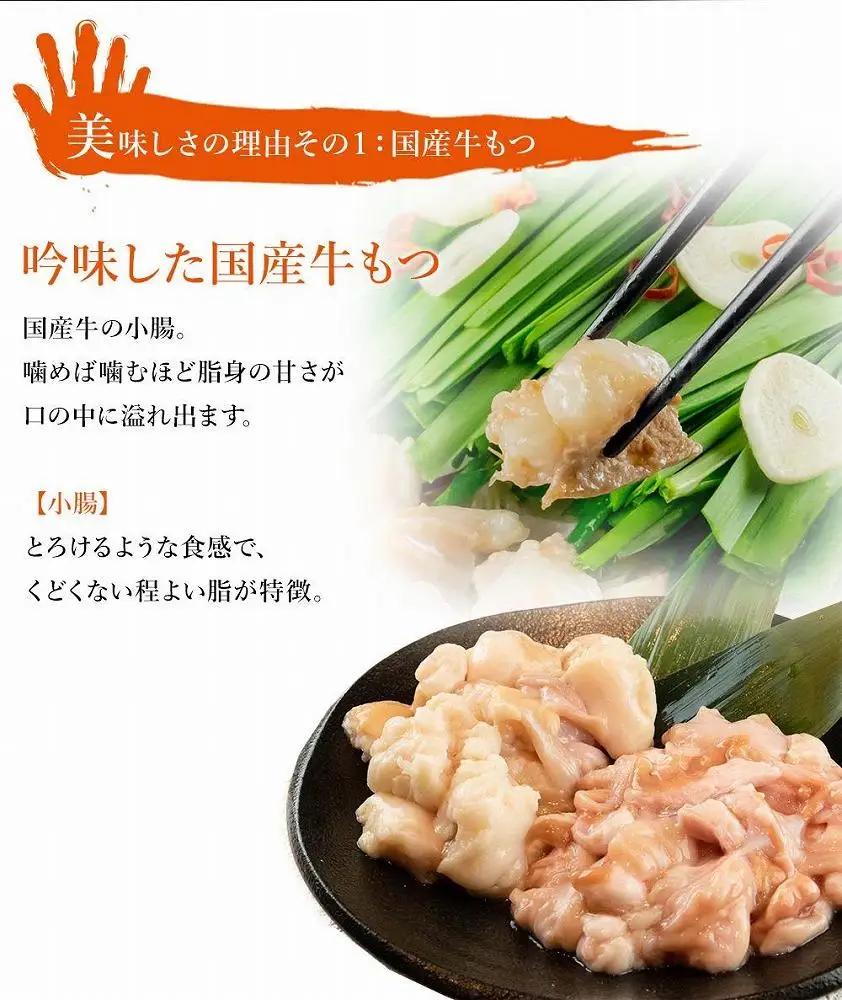 九州名物とめ手羽 博多もつ鍋セット 九州しょうゆ味 2～3人前
