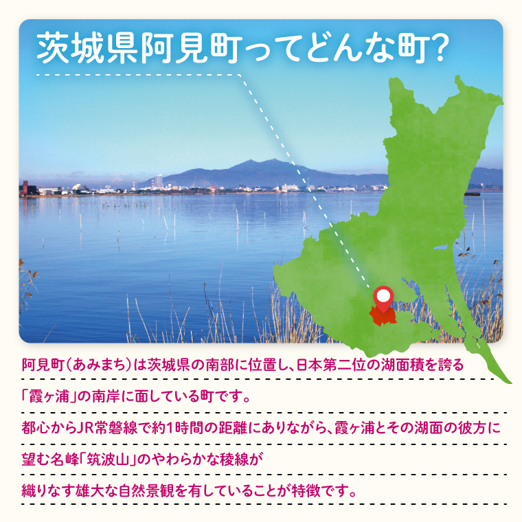 【返礼品なし】阿見町ふるさと応援寄附金(50000円)(000-05)