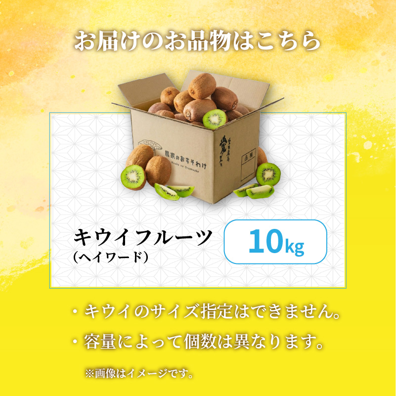 キウイフルーツ ヘイワード 10㎏ サイズ混合 家庭用 【先行予約 2026年10月下旬から発送】 | きうい 果物 キウイくだもの フルーツ おすすめ  人気 お取り寄せ グルメ ギフト 期間限定 