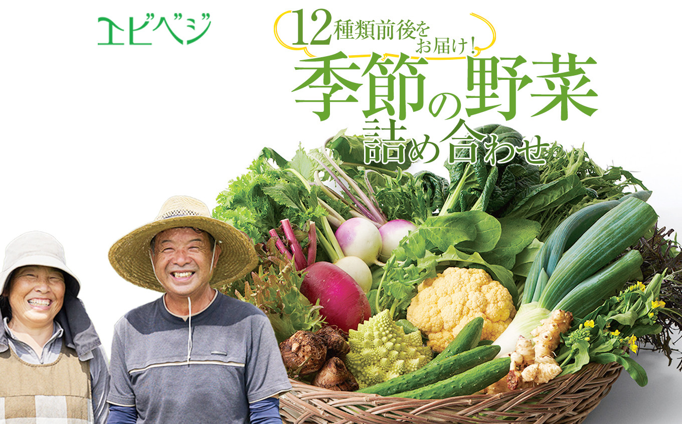 
                  下野市産 エビベジ季節の野菜詰め合わせ（大）  | 野菜 詰め合わせ セット 新鮮 エビベジ 栃木県 特産品 下野市 しもつけ市
                