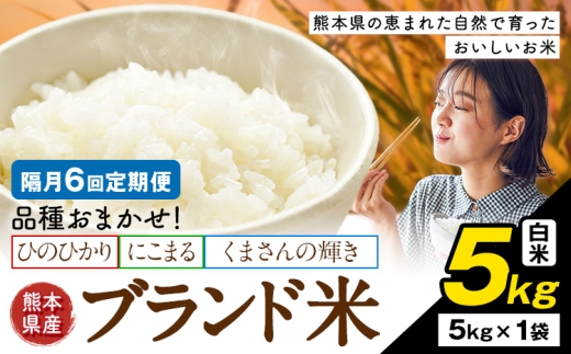 【隔月6回定期便】米  南関町 単一原料米 (ひのひかりorにこまるorくまさんの輝き) 白米 5kg《お申込み翌月から出荷》熊本県産 国産 ひのひかり 白米 精米 こめ コメ 5キロ