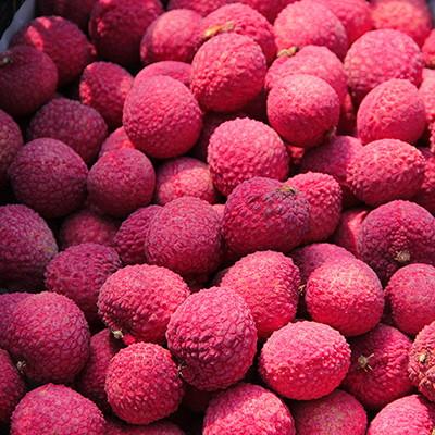 ふるさと納税 安芸市 メリーガーデンの生ライチ |  | 01