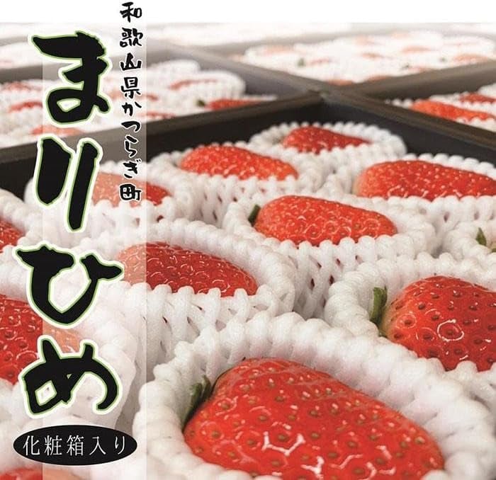 
                  ☆2026年先行予約☆超特選☆ いちご【まりひめ】約12粒～15粒 【2026年1月中旬から4月下旬まで発送】/ いちご イチゴ 苺 まりひめ あまい 和歌山県 かつらぎ町 フルーツ 果物 
                