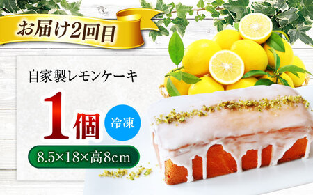 【2回定期便】 ドライフルーツのタルト ＆ 自家製レモンケーキ 2回に分けてお届け！【Toki Italian SAI】 ドライフルーツ タルト レモンケーキ[MCY008]