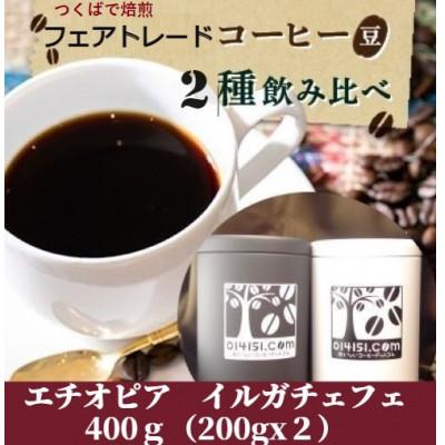 ふるさと納税 つくば市 【のし付き】つくばで焙煎 コーヒー豆 エチオピア イルガチェフェ 200g×2種 飲み比べ 缶入り
