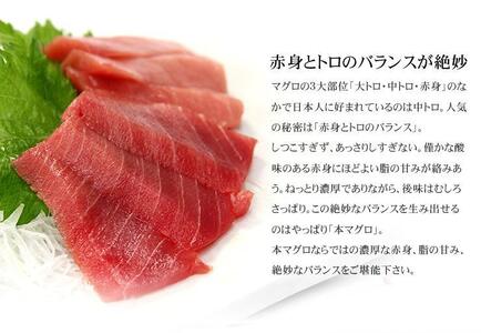 本マグロ中トロ300g　解凍レシピ付　1サクずつ真空包装  脂の甘みと濃厚赤身が絶妙なバランス