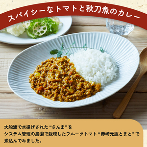 トマさんソース　スパイシートマカレー味1.2kg （300g×4缶）【 さんまトマト 野菜  さんま缶詰 秋刀魚缶詰 おかず さんま魚介缶詰 おつまみ缶詰 保存食 さんま 防災 備蓄缶詰 非常食 缶詰