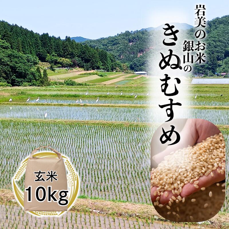 【ふるさと納税】【2025年産 先行予約】岩美町銀山のきぬむすめ（玄米）10kg｜鳥取 岩美 お米 こめ コメ 玄米 令和7年産 新米【31027】