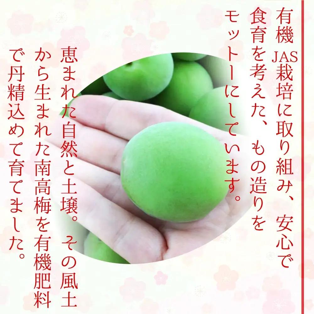 有機JAS認証　高田の梅「昔ながらのしそ梅干」塩分約18％（400ｇ）　tkdkaen001A【tkdkaen001A】