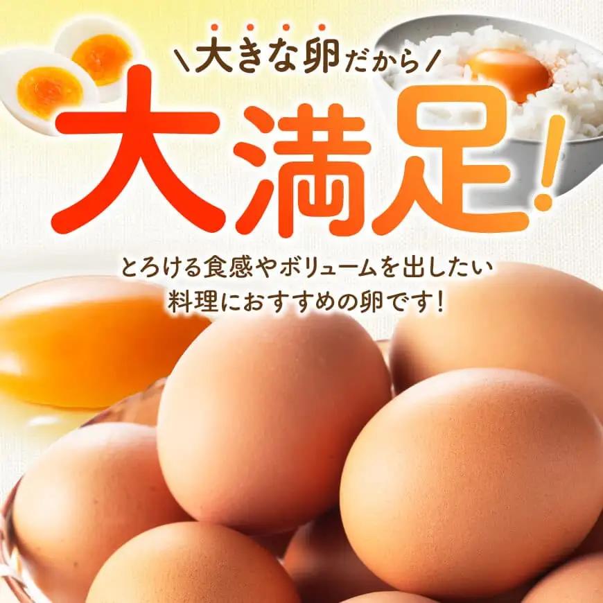 【6ヶ月定期便】宮崎県産鶏卵 「南国からの贈り物」大きな卵40個入り（35個+破損補償5個）【たまご 卵 玉子 タマゴ】