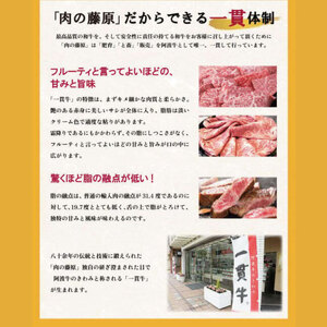 牛肉 切り落とし 定期便 1kg 6回 黒毛和牛